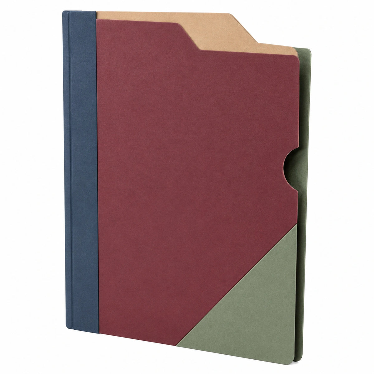 Carpeta Organizadora Multicolor A4 con Etiqueta