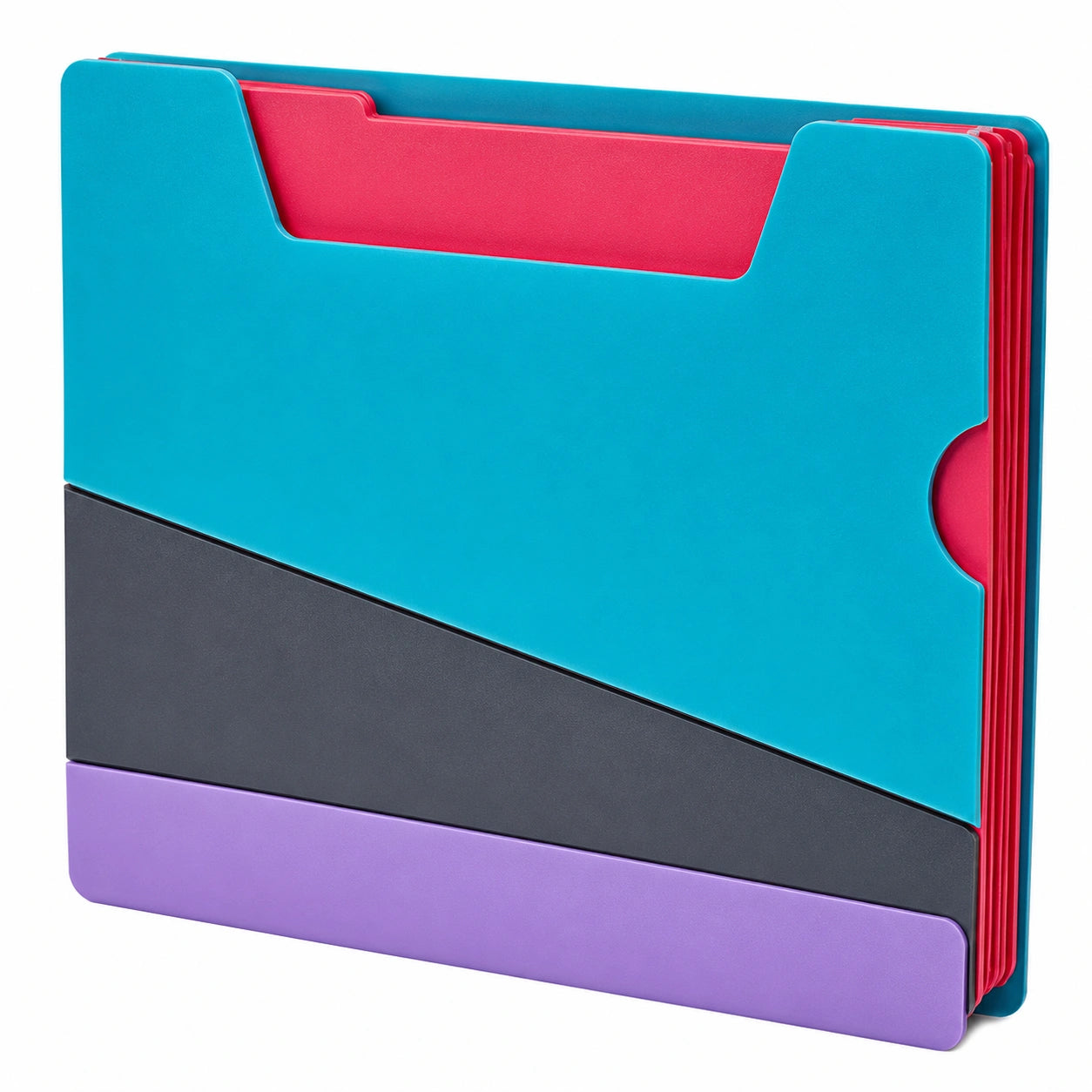 Carpeta Organizadora Multicolor Expansible Azul/Rojo/Negro/Púrpura